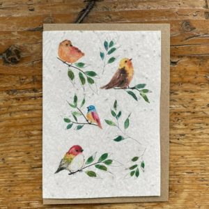 Carte à planter petits oiseaux pour toutes les occasions