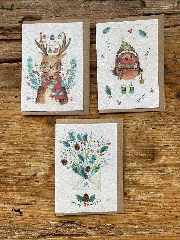 Un ensemble de cartes à semer pour Noël. Cette année envoyer des fleurs dans vos cartes postales !