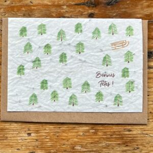 Voici notre carte ensemencée avec graines sur le thème "forêt de sapins". Cette carte sera une superbe idée pour personnaliser vos paquets cadeaux de Noël !