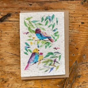 carte à planter avec jolis messager, oiseaux colorés