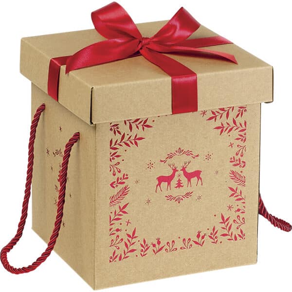 Vous recherchez une boite cadeau de Noël, vide, avec couvercle ?